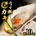 【ふるさと納税】【 着日指定可 冷蔵 】【西海市ランキング入り！】うず潮カキ 約10kg（約100～160個）＜西彼町漁協＞ [CBZ003] かき カキ 牡蠣 牡蠣小屋 BBQ バーベキュー レンジ 養殖 大村湾 名産 セット ナイフ付き 10kg 着日指定 日時指定 日付指定 冷蔵