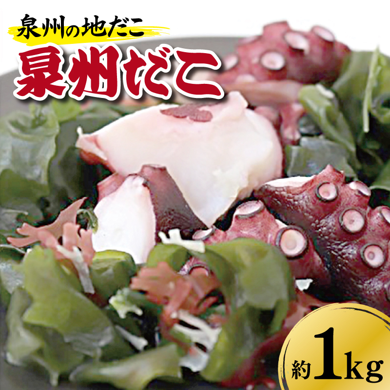 泉州タコ1ｋｇ 099H069
