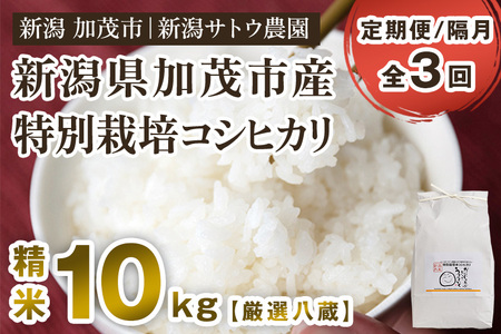 【定期便3ヶ月隔月お届け】【2024年先行予約】【令和6年産新米】化学肥料未使用の従来コシヒカリ【厳選八蔵10kg】特別栽培 有機肥料で育った厳選米 加茂市 新潟サトウ農園