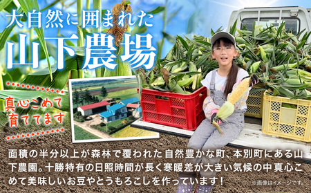 朝採り とうもろこし ビーナスコーン スイートコーン 10本 《8月上旬-8月末頃出荷予定》山下農場 バイカラー 大粒 コーン トウモロコシ 送料無料 北海道 本別町北海道 十勝 本別町産 冷蔵便 甘