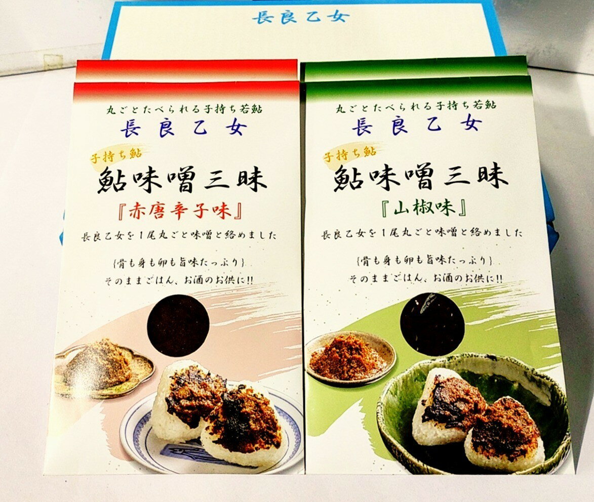 【ふるさと納税】鮎味噌三昧2種セット