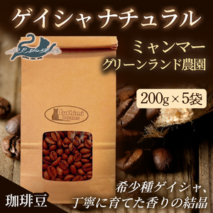 No.3277珈琲豆 ｹﾞｲｼｬﾅﾁｭﾗﾙ ﾐｬﾝﾏｰ ｸﾞﾘｰﾝﾗﾝﾄﾞ農園【豆】希少種 焙煎 200g×5袋