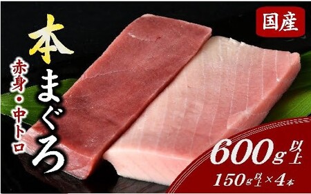 国産本まぐろ中トロ赤身冷凍短冊セット 600ｇ以上 〔2025年12月配送分〕( まぐろ マグロ 本まぐろ 鮪 中トロ 赤身 まぐろ刺身 国産本マグロ )