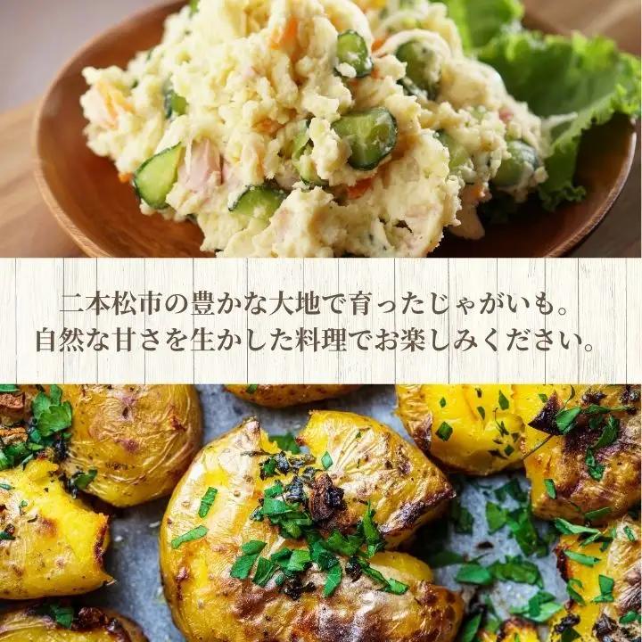 《2026年7月以降順次発送》じゃがいも5kg【一般社団法人二本松有機農業研究会】