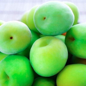 手もぎ 青梅 南高梅 5kg 大粒 3Lサイズ 以上 谷本農園