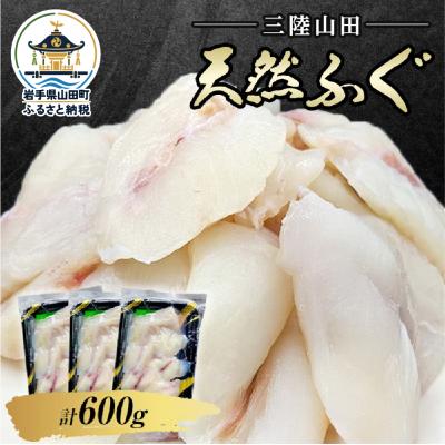 ふるさと納税 山田町 三陸山田 天然 ふぐ 小分け 200g×3パック 計600g フグ