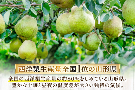 【期間限定発送】 ラ・フランス 高畠町産 ラ・フランス 7～9玉 約 3kg [JA山形おきたま 山形県 高畠町 tk06ays870042]