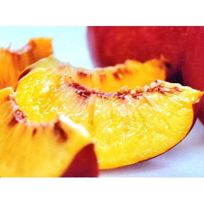 【周りに差をつける贈り物】最高糖度25度の比類なき絶対糖度シャトーネクタリン2026年6月下旬発送【配送不可地域：離島・北海道・沖縄県・中国・四国・九州】