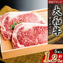 【ふるさと納税】奈良県産 黒毛 和牛 「 大和牛 」サーロインステーキ （ 250g x 5 ）1250g | 肉 にく ニク 牛肉 黒毛 和牛 冷凍 大和牛 ステーキ サーロインステーキ 奈良県 五條市