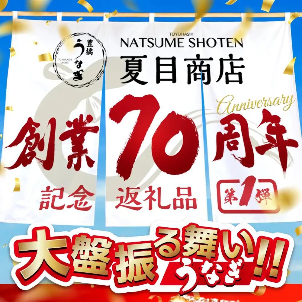 【ふるなびWEEK対象】豊橋うなぎ 紅白2尾 国産 うなぎ