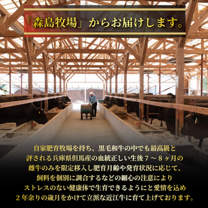 近江牛 すき焼き・しゃぶしゃぶ用スライス 450g A4 ~ A5 ランク 毛利志満 ( 近江牛 ブランド和牛 近江牛 牛肉 近江牛 好き焼き しゃぶしゃぶ 国産 近江牛 人気 近江牛 神戸牛 松阪牛