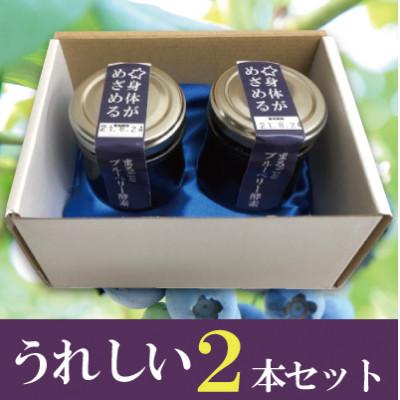ふるさと納税 いすみ市 まるごとブルーベリー酵素 |  | 03
