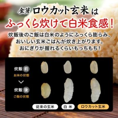 ふるさと納税 和歌山市 金芽ロウカット玄米4kg(2kg×2袋) |  | 02