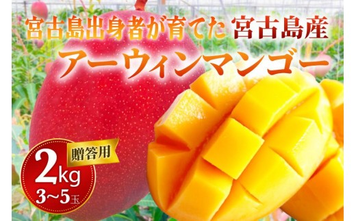 
                  【贈答用】宮古島産マンゴー2kg ＜リトルグローブ＞（LT002）
                