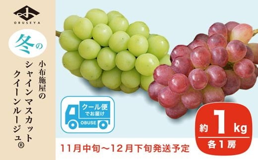 
                  冬のシャインマスカット＆クイーンルージュ_ 約1kg 各1房 ［小布施屋］フルーツ 果物 くだもの ぶどう 葡萄 ブドウ クール便 冷蔵 お楽しみ 長野県産 信州産 令和8年産 【2026年11月中旬～12月下旬発送】 ［A-302］
                