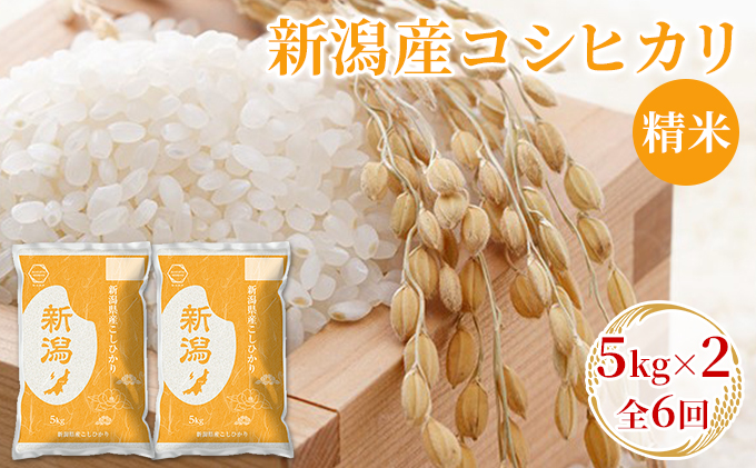 【先行予約】R8年産新潟産コシヒカリ精米5kg×2　全6回 お米 