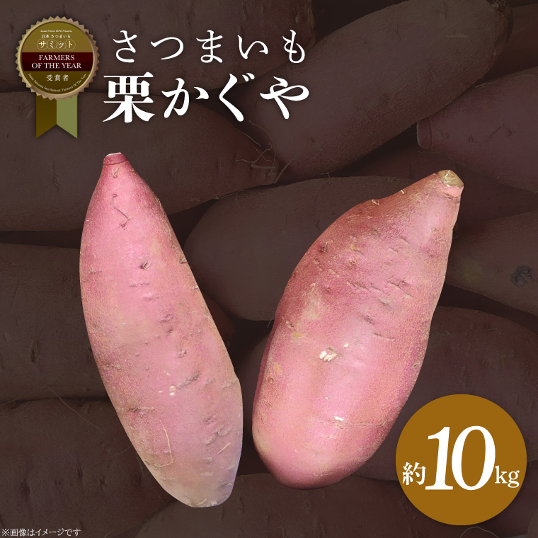 さつまいも 栗かぐや 約10kg｜茨城県 行方市 ふるさと納税 芋 いも さつまいも サツマイモ さつま芋 お芋 おいも 栗かぐや 10kg 20000円以下 2万円以下 渋谷農園 さつまいも博(BZ-51)