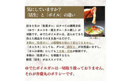 松葉ガニ活生「中1枚」ブランドタグ付き※着日指定不可※【弁慶丸】