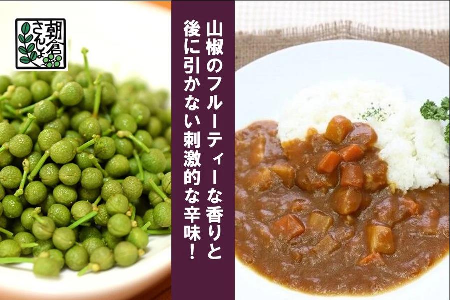 朝倉さんしょカレー（4パック）化学調味料不使用