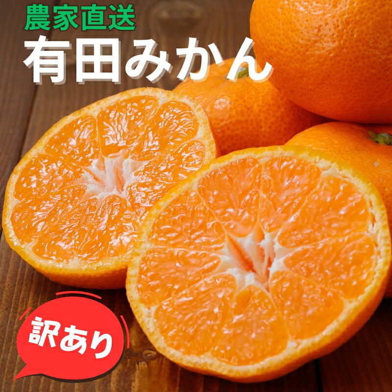 【ふるさと納税】 農家直送 有田 みかん 訳あり 光センサー 選別 / 温州みかん 有田みかん 甘い 家庭用 和歌山 柑橘 5kg 10kg 8000円 10000円 ※11月中旬～1月中旬に順次発送 ※北海道・沖縄・離島への配送不可 //mandarin