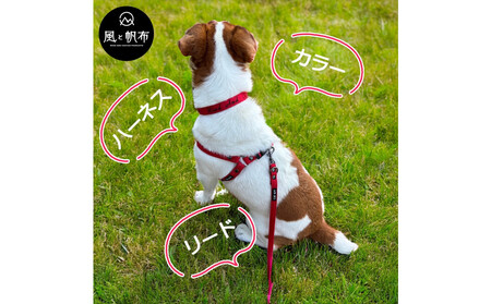 香川県産 丈夫でやさしい綿帆布リード 天然コットン ブラウン、1点