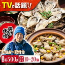 【ふるさと納税】テレビで話題！【生牡蠣】【選べる配送月・日・量】身が引き締まったプリップリの むき身と殻付きセット 人気 海鮮 簡単 レシピ ギフト 広島県産 江田島市/有限会社寺本水産 [XAE006] 牡蠣 生食 むき身 殻付き かき カキ 生牡蠣 カキフライ