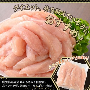 ＜ 定期便・全3回 ＞ 鹿児島県産 若鶏 ささみ (計2.5kg×3回) 【株式会社羽根】T50