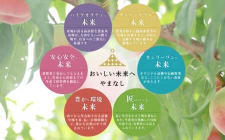 山梨県都留市産【2025年先行予約】日本一の産地 山梨県産　朝採れ白い桃 1.5kg以上 (５～７玉）　もも　桃　モモ　フルーツ　