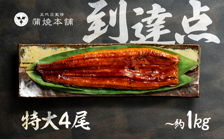 ふっくら肉厚！『国産うなぎ』蒲焼 特大 4尾 うなぎ