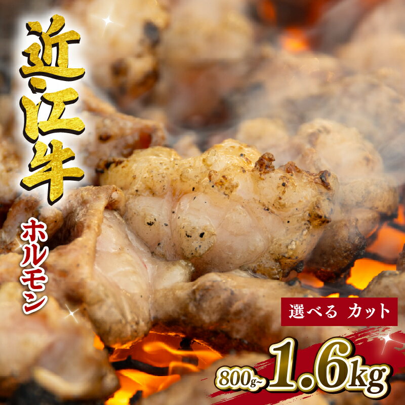 近江牛 ホルモン 焼肉 800g 冷凍 黒毛和牛 和牛 切落し 切り落とし 高級 小腸 マルチョウ 肉 焼き肉 セット もつ モツ鍋 新着 贈り物 ギフト 滋賀県 竜王町 岡喜 神戸牛 松阪牛 に並ぶ 日本三大和牛 10000円 スーパーセール お買い物マラソン