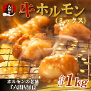 【ふるさと納税】ホルモン の 老舗 六間星山 牛ホルモン （ミックス）500g × 2袋 計1kg[A-026001]| 国産 アメリカ産 牛肉 もつ鍋 焼き肉 味付き 味噌 タレ 星山 冷凍 焼肉 バーベキュー ホルモン鍋 とんちゃん 鉄板焼 BBQ もつ ビール 網焼き 牛肉 焼肉店 ホルモン焼き