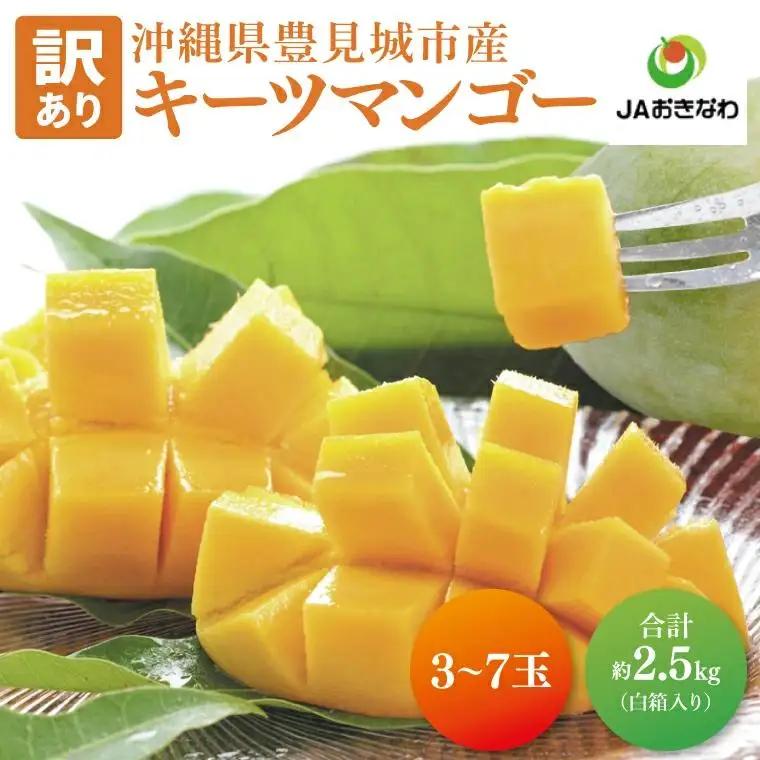 【訳あり】菜々色畑のキーツマンゴー 3～7玉(約2.5kg)【白箱】