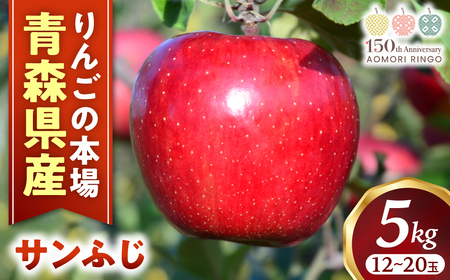 青森県産りんご サンふじ 約5kg 12月下旬～ りんご