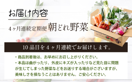 朝どれ野菜１０品目【４ヶ月連続定期便】～新型コロナ支援 _rk005