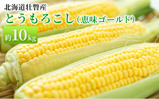 ＜2025年8月下旬より順次お届け＞北海道壮瞥産 とうもろこし（恵味ゴールド）約10kg SBTA032