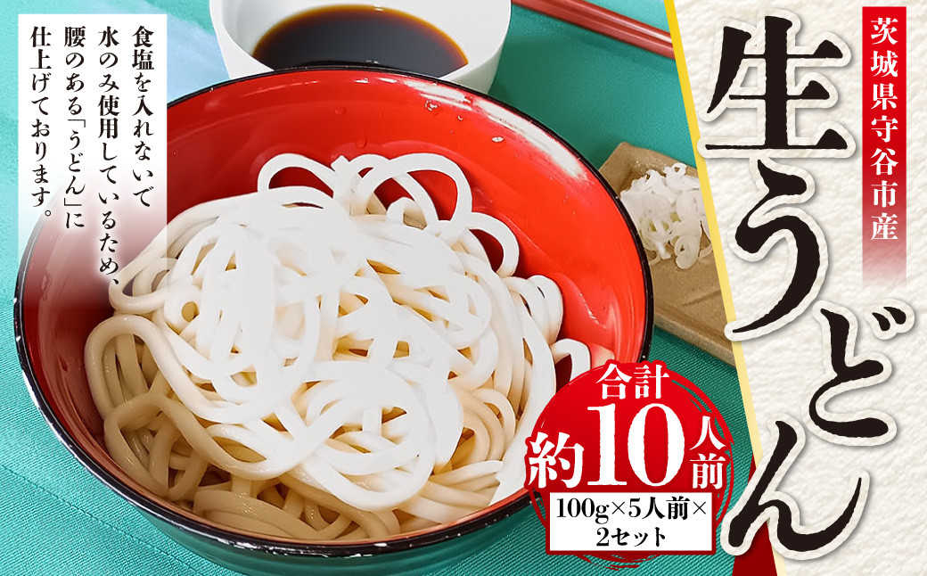 
            生うどん 100g×5人前×2セット | うどん 10人前 10食 セット 麺 麺類 辛汁 冷凍 茨城県 守谷市
          