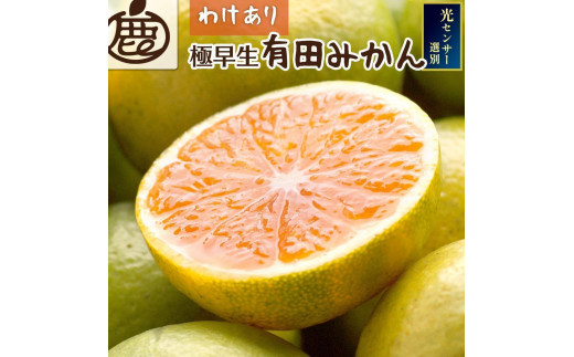 
                  ［先行予約］家庭用 有田みかん（極早生）2.5kg+250g（傷み補償分）
                