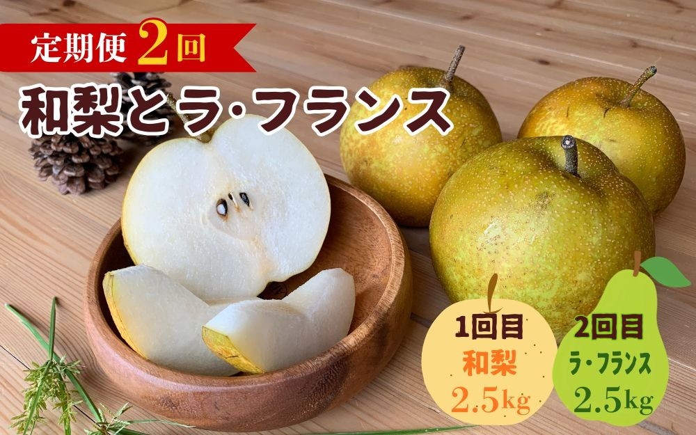 
                  【定期便：全２回】和梨とラ・フランス　各２.５ｋｇ　0012-2608
                