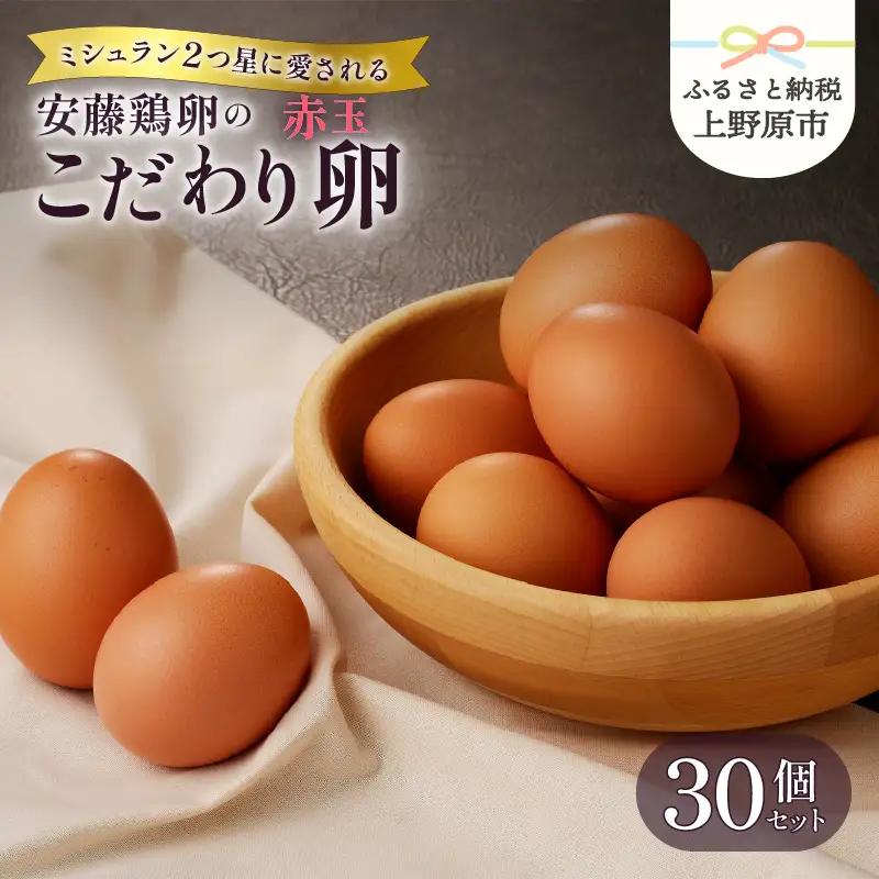【山梨県産 卵】 たまご 赤玉 30個 ミシュラン 鶏卵 詰め合わせ 高級卵 濃厚鶏卵 新鮮 卵かけご飯 人気 美味しい