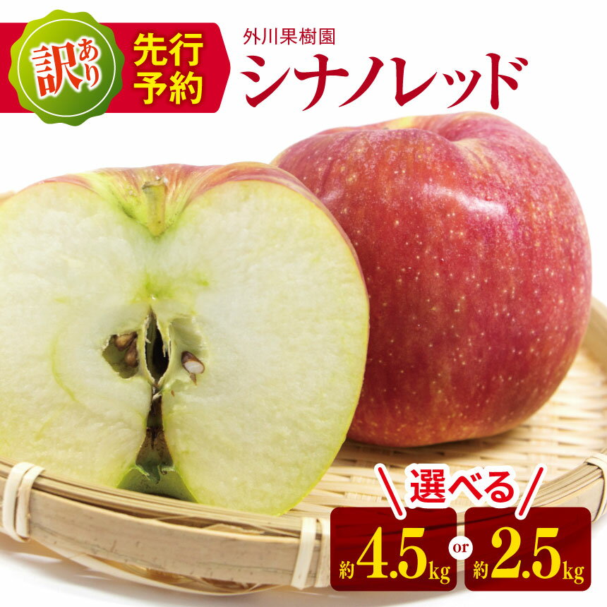 【ふるさと納税】2024年 先行予約 外川果樹園 訳あり シナノレッド 約 4.5kg 約 2.5kg｜ リンゴ りんご 林檎 果物 フルーツ 果実 果汁 紅玉 こうぎょく わけあり 訳アリ 長野県 松川村