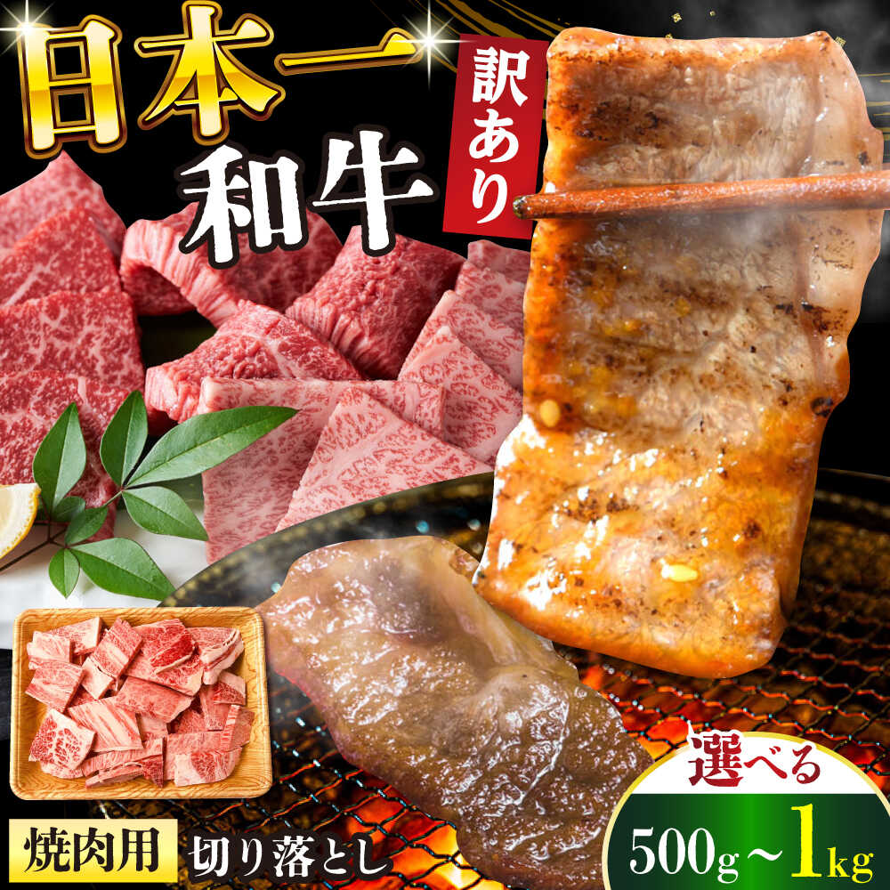 【ふるさと納税】【選べる内容量】【訳あり】【A4〜A5】長崎和牛焼肉切り落とし(肩ロース・バラ）500g 1kg【株式会社 MEAT PLUS】[DBS003] 訳あり きり落とし 訳アリ きり落とし 和牛 牛肉 国産