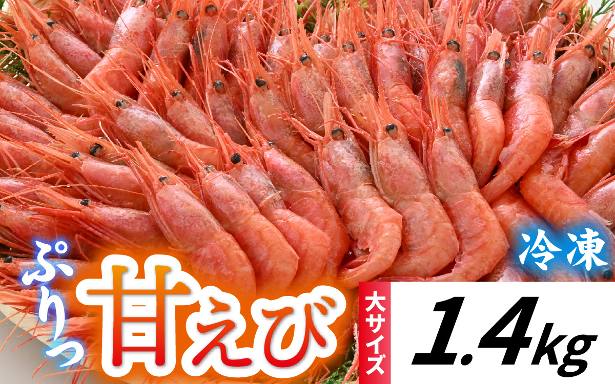 甘えび (大サイズ) 約1,400g 天然・鮮度抜群！【発泡箱】 船内冷凍 64尾