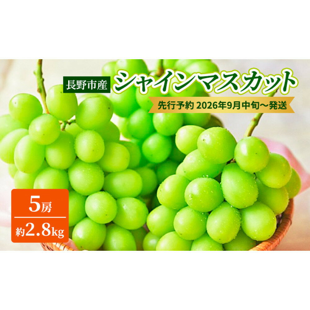 【ふるさと納税】本気農場いけだ　長野市産シャインマスカット5房（約2.8kg）【2026年9月中旬以降の出荷分】 | シャインマスカット ぶどう フルーツ 果物 国産 人気 おすすめ ギフト プレゼント 送料無料 長野県 長野市 信州 信濃 ふるさと納税