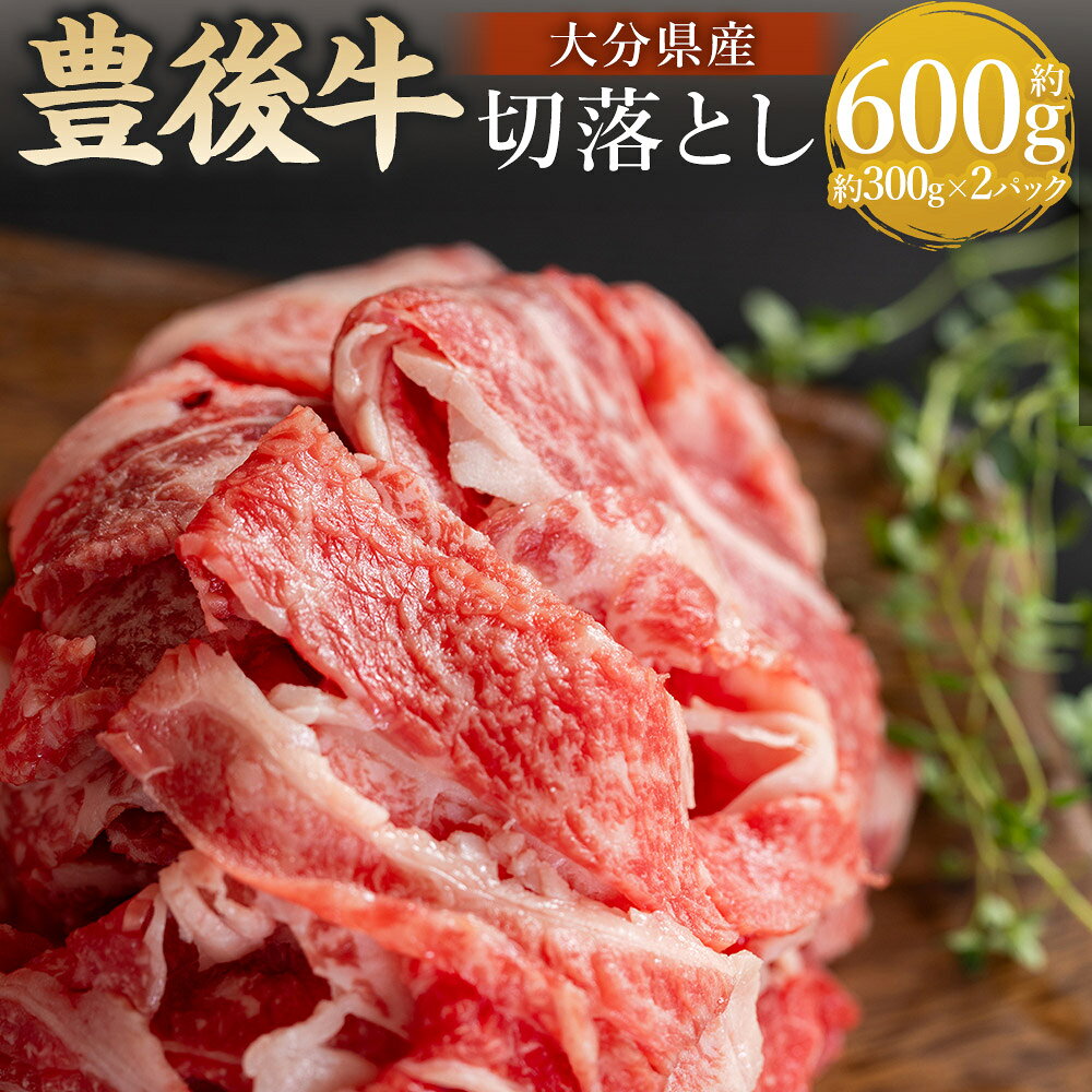 【ふるさと納税】豊後牛切落とし 計約600g（300g×2パック） 豊後牛 牛肉 お肉 霜降り 切落とし 切り落とし 切落し 冷凍 大分県産 国産 九州 大分県 九重町 送料無料