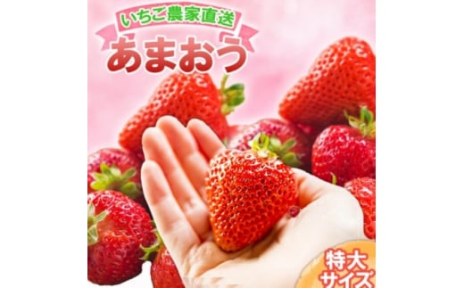 いちご いちご職人直送 白木のいちご 特選 あまおう (特大サイズ) 8粒 イチゴ 苺 果物 デザート ※配送不可：沖縄・離島・北海道・東北