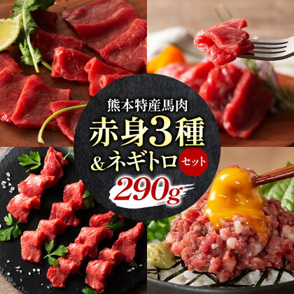 【ふるさと納税】馬刺し 熊本県産 赤身 馬刺し 3種 ネギトロ 詰め合わせ 株式会社《30日以内に出荷予定(土日祝除く)》 熊本県 産山村 肉 馬肉 国産 赤身 上赤身 ロース ランプ 馬 ふじ馬刺し セット 食べ比べ