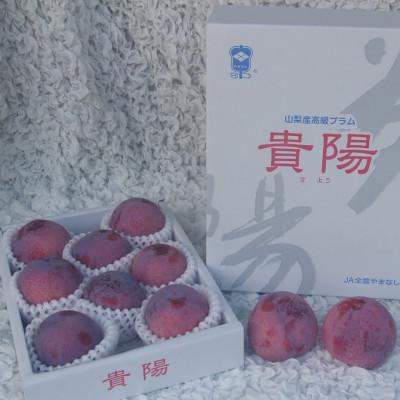 ふるさと納税 南アルプス市 【2025年先行受付】南アルプス市産　すもも『中玉貴陽』約1.5kg(7〜10玉) |  | 03