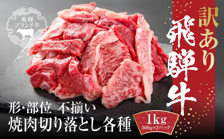 訳あり 飛騨牛 焼肉 切り落とし 1kg(500g×2パック)  | 切り落とし MZ036