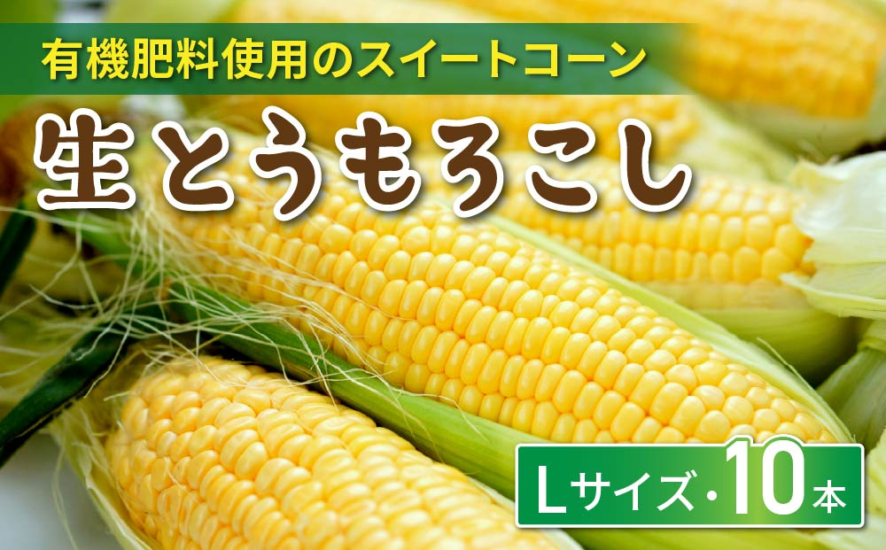 生とうもろこし Lサイズ 10本 有機肥料使用のスイートコーン！ 長野県東御市産 ※7月上旬から順次発送予定※発送日指定不可