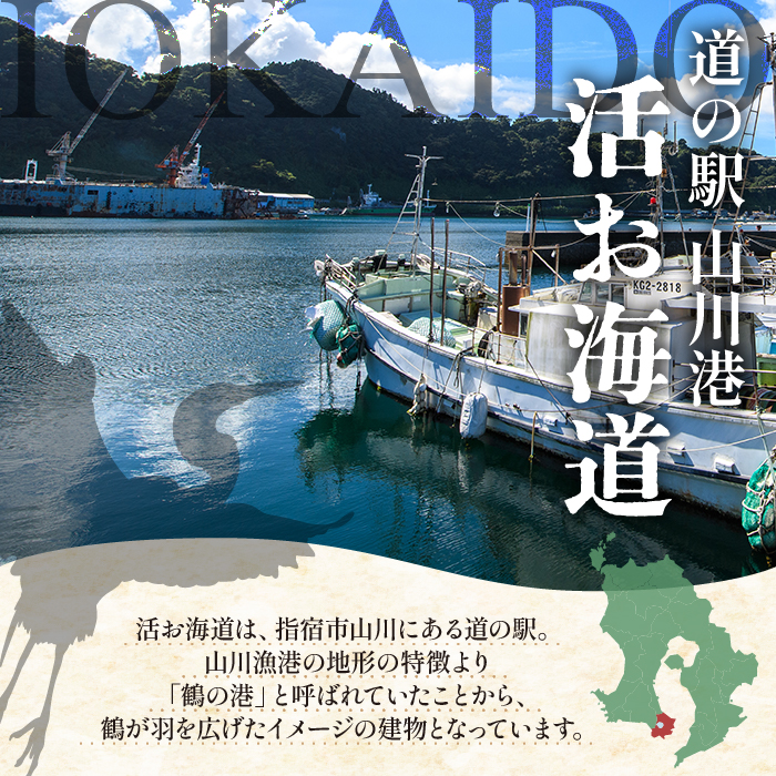 【全３回定期便・連続お届け】鰹節屋のだしパック5種セット(活お海道/Z030-1700) 頒布会 小分け 出汁 だし パック 出汁パック 鰹節 本枯節 指宿鰹節 かつお カツオ 昆布 椎茸 あわせだし